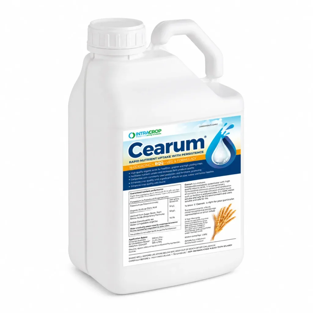 CEARUM